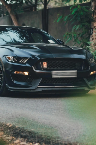 Ford